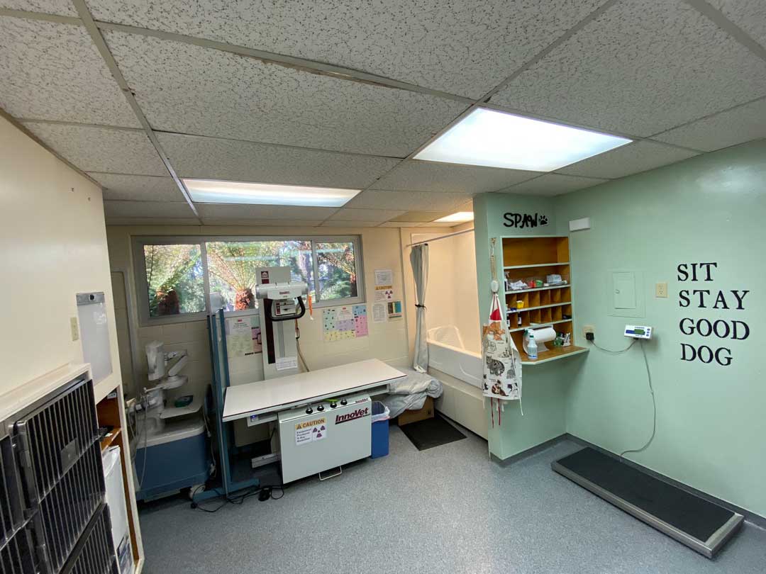 Services Peninsula Animal Hospital