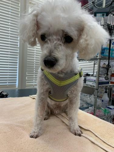 08502524-47A5-455B-AF21-330755A686D6