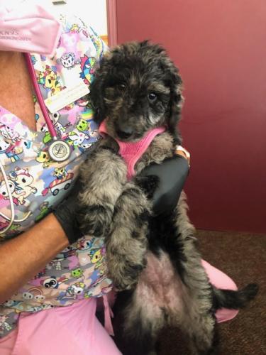 2S3yGYOkKT0M5eM83dThkcWSz7yysv7NJQ