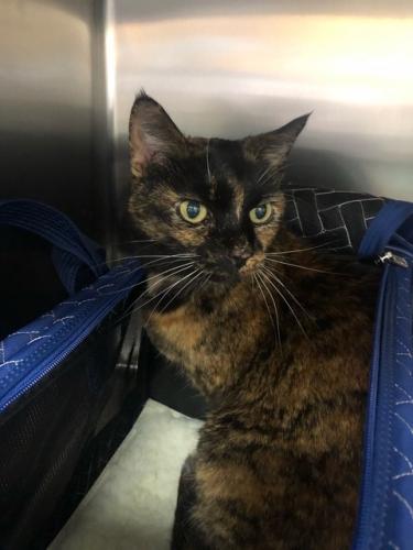 468C6ED7-0D24-4A0F-84BB-C70CE21A4D1C