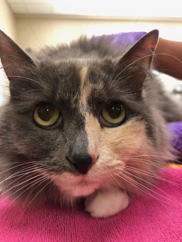 649A5B70-46EE-4FFD-8F92-0F1685238D24