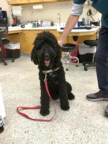 77827555-1684-43E0-B0C7-A1CC87F38A2E