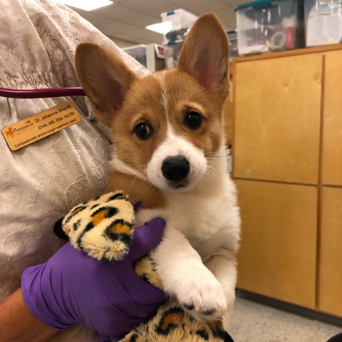 AA8A4F3C-1B4A-4450-BD6B-E829ADDD03F7