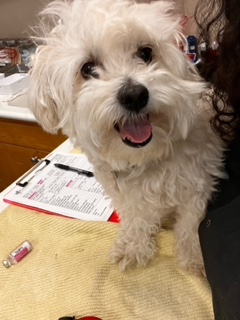 DO3ObaXyuSJ7Jtgb2Ck9rWjn2F1ofrJWZw