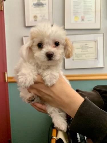 ECC9DE1B-0F16-481B-ADCB-46D209D63B5C