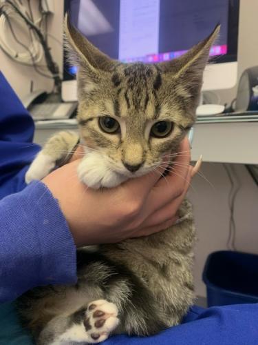 F028A86C-BB8D-4CD2-9A7F-94E3CFA47328