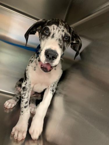 KtMZwTmZs6KHzMphTHfHdhYTNfBCrnjcwQ