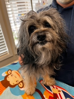 MdyBWvvG9qxN1n0H45UOwKVorQ09KdRb-w