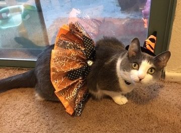 QGGpZNJHQoTofmac5flpVU9UEvH8bTzqZw