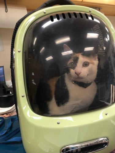 h-Xp5wqLP02QByQI2EqpU5-aurSfCN9ciw