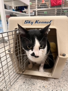 hvKR2AQJXrrJXGKYXzSPAWQbZUU7mpgpnw