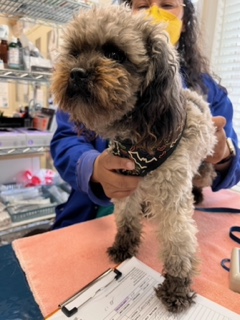 ln74bldf63SfFwfQXhQjyLtHtB9lWCXX1A