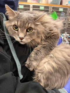 LUkXuCXojmD32 xvLsj9ywcy73JI5xztiQ